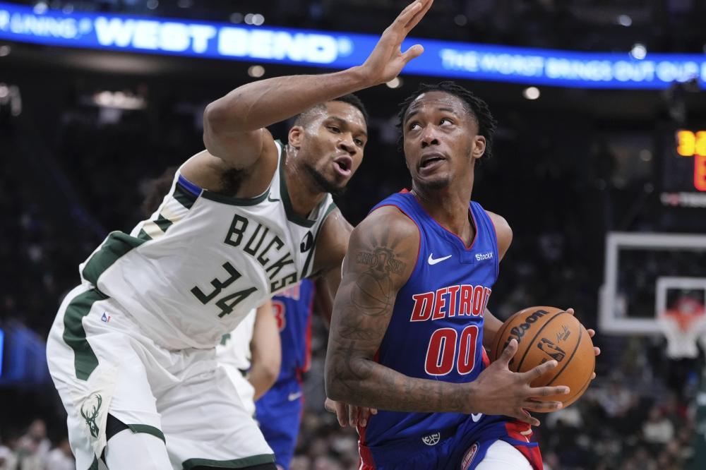 受期待的新 受期待的新